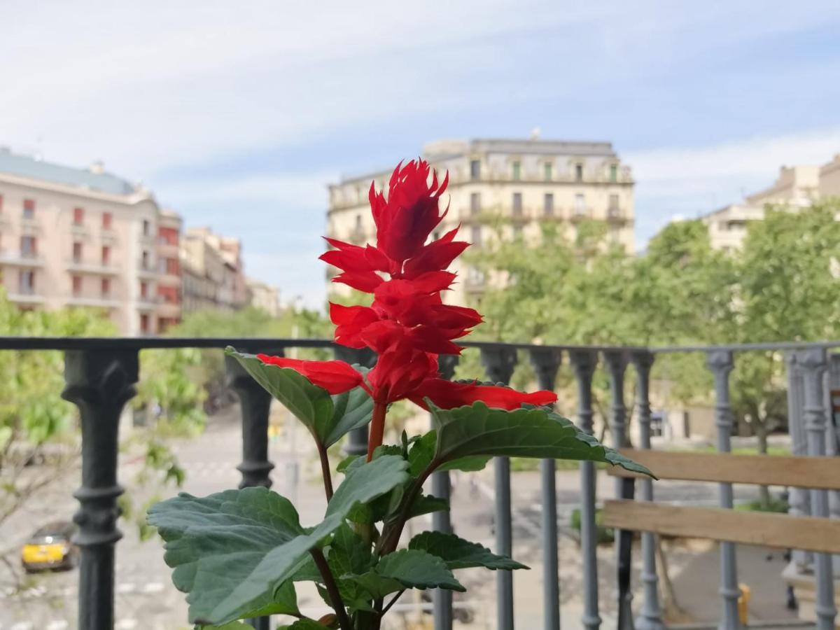 Casa Consell Gran Via, Guest House Barcelona Zewnętrze zdjęcie